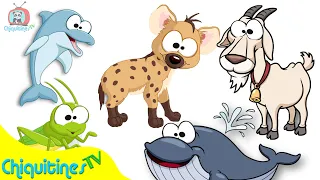 Aprende el sonido de los animales 2 - Canción Infantil
