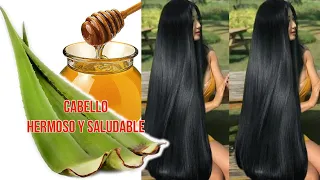 SABILA / ALOE VERA PARA EL CABELLO