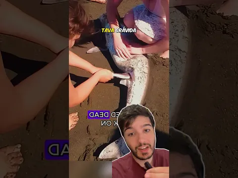 Salvou o filhote da Tubaroa 🦈 e ganhou um amigo 🥰