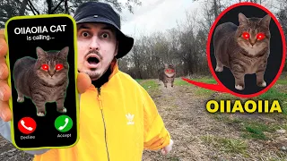 OIIAOIIA CAT is Calling NIKPIG - Spinning Cat Meme Remix 2025 (comedy parody)