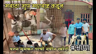 मराठा ग्रुप महाराष्ट्र याच्या कडून वरुण भूमकर यांची नवीन खरेदी #आप्पा | #greyhound