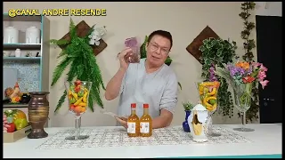 Os benefícios da casca da noz pecã