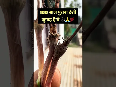 #farming #botanylovers #plants #botany #plantscience