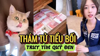 Tổng Hợp Thám Tử Tiểu Bối Truy Tìm Kho Báu Và Quỹ Đen Phần 8 - Thông Minh Đáng Yêu | Tony Reviews