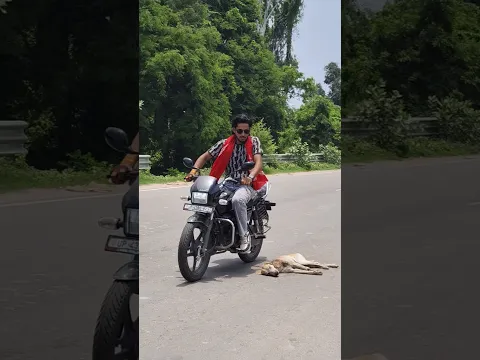 सारे लोग देखो कैसे मुंह फेर रहे थे 🥺🥺 #bejuban #doglove #dogdeath #respectanimal #helpbyadarsh