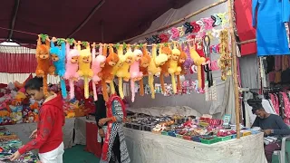 Mega Trade Fair 👍 Alwar Live