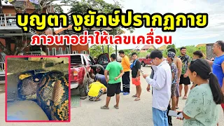 บุญตา งูยักษ์ปรากฏกายในรถ
