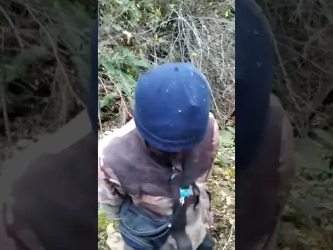 В заповеднике Сары-Челек разделывали тушу убитого марала