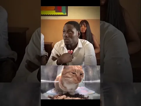 genius😁#cat #funny #memes #explore #viral #shorts