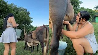 Mi RUTINA como CAMPESINA y GANADERA en el RANCHO