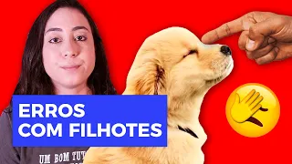NUNCA COMETA ESSES ERROS COM SEU FILHOTE!