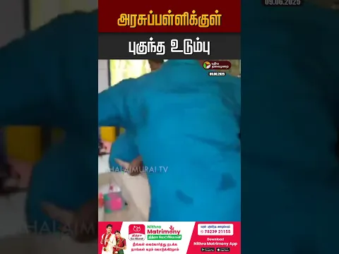 அரசுப்பள்ளிக்குள் புகுந்த உடும்பு #kanchipuram #udumbu #shocking