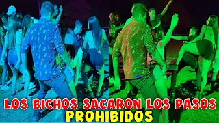 Comenzó el ritmo que tanto le gusta a las Bichas EL REGGAETON. Mira lo que paso a medio baile. P 18