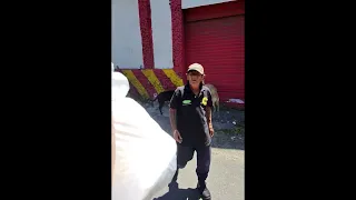 Repartiendo comidita a los perritos de la calle 