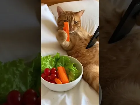 Это так дети зависимы от чипсов по мнению мамы )))