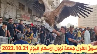 سوق الغزل جمعة نزول الأسعار... سوق الغزل لبيع الحيوانات الأليفة 2022/10/21