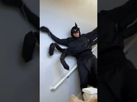 Human Vs Spider😂