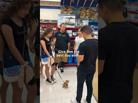 I gave a TINY DOG the BEST DAY EVER 🥺❤️
