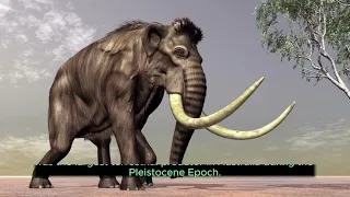 Unveiling the 25 Most Exotic Extinct Animals