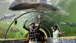 GIANT MONSTERS🤯Floating Over My Head🥶 Under water🌊/JENISH KJ