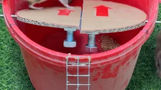 Instructions for making mouse traps at home from old plastic buckets / Recycle waste to protect