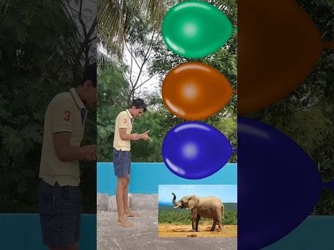 Animals Names 🦣🐎 #shorts
