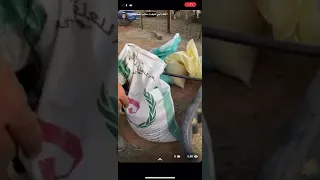 خلطة التسمين (ب) للذبح بعد الفطام بعمر ثلاث أشهر إلى عمر ستة أشهر، بعد ذلك التغذيه حسب الوزن