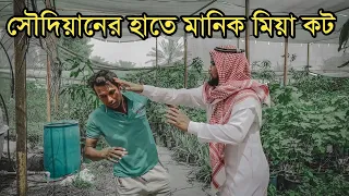মানিক মিয়া আবার মাইর খেলো সৌদিয়ানের হাতে। Manik miah