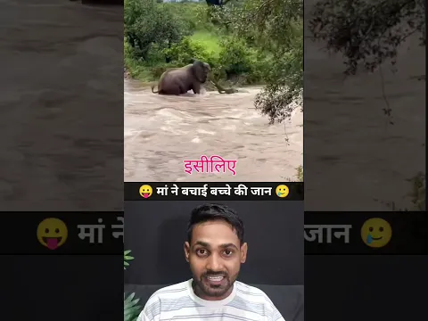 हाथी ने बचाई जान 😢 #shorts #youtubeshorts #humanity