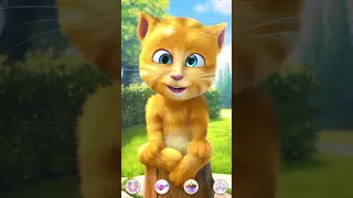 talking ginger cat eat 💫🍓🍅🥦🫑🥕🫑🥦🍆🍅🍋🥔🥔🫒🍒🫛🫛🍓🫒