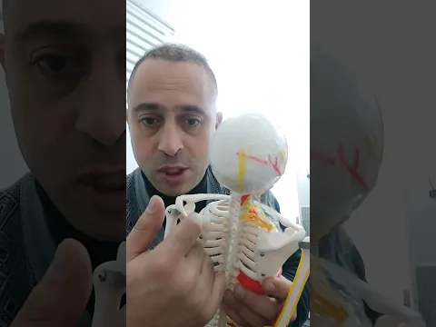 التهاب العضلة فوق الشوكية  Supraspinatus tendinitis التعريف والاعراض