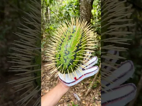 STYROFOAM Glove Survival Hacks That Actually Work? #survival #bushcraft #lifehacks