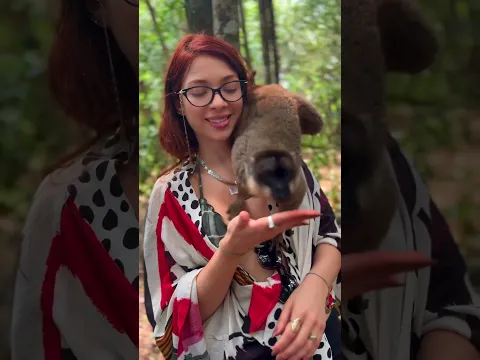 Prof Trazendo um pouquinho da ilha de Madagascar pra você ❤️🇲🇬🐒#CibellyProf #Prof #Tbt