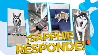 Sapphie nos rompe el corazón por 5 minutos 💔