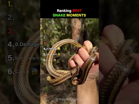 Ranking Best Snake Moments #usa