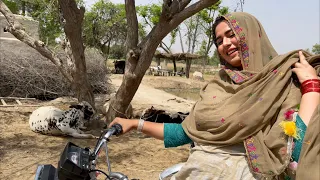 Sunsaan Jagah Ajooba Mil Gaya