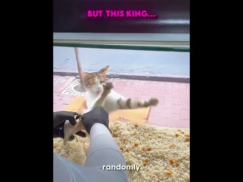 Others Kindness VS This King 🥺❤️‍🩹