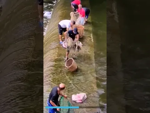 incredible fishing until fish jump into the basket #fishingwithnet #fishing #netfishing