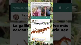 memes random xd