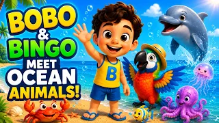 Who Lives in the Ocean? 🐬 Bobo & Bingo Meet Ocean Friends l BoBoBingo TV Nursery Rhymes and Songs