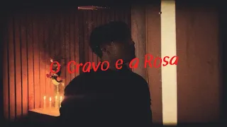VMZ  -  O Cravo e a Rosa