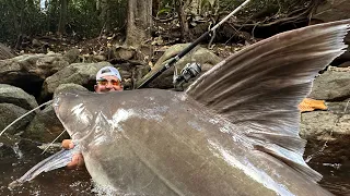 PEGAMOS O MAIOR PEIXE DE COURO DAS AMÉRICAS