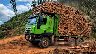 Monster Log Truck Conquers Dangerous Mountain Roads
