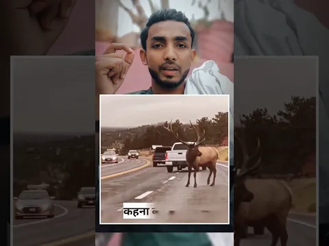 Ye Janwar Madad Mang Rha Hai " #explorepage #foryou #shortsfeed