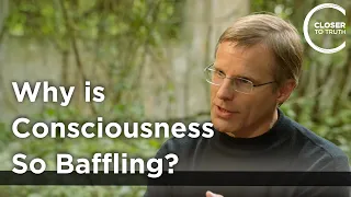 Giulio Tononi - Why is Consciousness so Baffling?