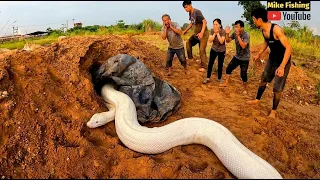 Team of Brave Hunters Confront Ferocious Giant Snake