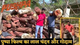 Pushpa Shooting Location | पुष्पा फिल्म वाला लाल चंदन का गोदाम