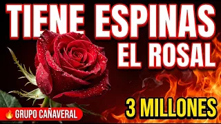 Tiene Espinas el Rosal 🌹 Grupo Cañaveral | La Cumbia CLÁSICA que NUNCA Muere | Cumbias 2026