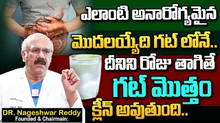 Dr Nageshwar Reddy About Gut Health Diet || దీనిని రోజు తాగితే గట్ మొత్తం క్లీన్ అవుతుంది..