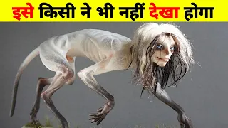 🌍ऐसा जानवर किसी ने भी नहीं देखा होगा || unusual animal found in the world |